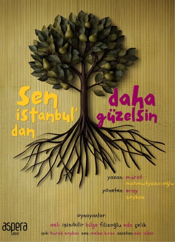 Sen İstanbul’dan Daha Güzelsin etkinlik afişi